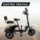 Three Wheel Electric Tricycle for Adults 3 Wheel Motorized Folding E-Bike