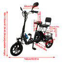Three Wheel Electric Tricycle for Adults 3 Wheel Motorized Folding E-Bike