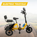 Three Wheel Electric Tricycle for Adults 3 Wheel Motorized Folding E-Bike