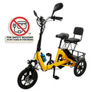 Three Wheel Electric Tricycle for Adults 3 Wheel Motorized Folding E-Bike