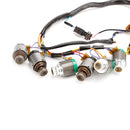 Audi A6 2000-2005 5 SP F/AWD V6 2.5L 2.7L 7PCS 5HP19 Transmission Solenoids With Internal Harness