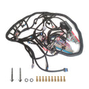 1997-2006 LS SWAPS DBC 4.8 5.3 6.0 Wiring Harness Stand Alone LS1-4L60E For Generic