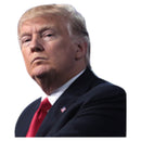 Car Window Sticker Life Person Size Passenger Ride With Trump President 2020 L