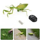 Remote Control Mantis Electric Animal Fake Toy Birthday Christmas Gift For Kids