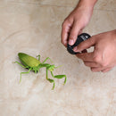 Remote Control Mantis Electric Animal Fake Toy Birthday Christmas Gift For Kids