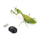 Remote Control Mantis Electric Animal Fake Toy Birthday Christmas Gift For Kids