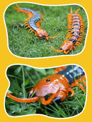 Remote Control Centipede Infrared Animal Electric Toy Kid Christmas Gift Green