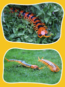 Remote Control Centipede Infrared Animal Electric Toy Kid Christmas Gift Green