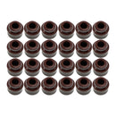 3.6L Engine Rebuild Overhaul Kit for Dodge Chrysler 200 Jeep Ram 1500 2011-2016