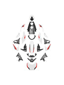 2020-2022 for Street Triple 765 R/RS Injection Bodywork Fairing Kit
