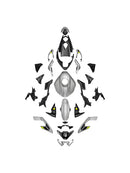 Injection Bodywork Fairing Kit for Street Triple 765 R/RS 2023-2025