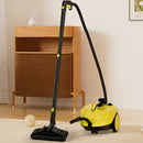 2000W High Pressure Steam Cleaner Household Car Steam Cleaner Cleaning Machine