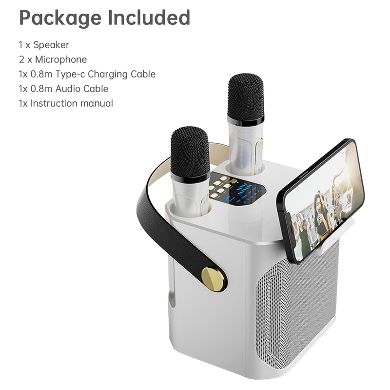 Wireless Bluetooth Speaker Dual Microphone Karaoke Home Theater All-in-One Audio