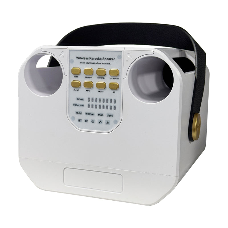 Wireless Bluetooth Speaker Dual Microphone Karaoke Home Theater All-in-One Audio