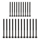 P5AT 3.2L Engine Rebuild Kit With Timing Kit for Mazda BT50 for Ford Ranger