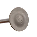 Head Intake Exhaust Valves Seals For Yamaha TTR125 TTR125E TTR125L TTR125LE