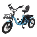 Electric Tricycle E-Trike with IPX7 Display 18*3.0 48V 13AH 350W (peak 525W)