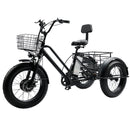 500W 48V 13A Electric Snow Tricycle 3 wheel e-bike 4.0 Fat Tire Tricycle