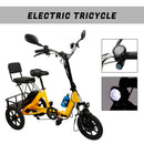 Three Wheel Electric Tricycle for Adults 3 Wheel Motorized Folding E-Bike