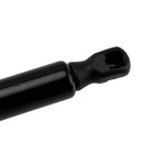 2021-2023 Tesla Model 3 2PCS Power Tailgate Power Lift Support Struthz