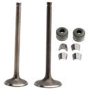 VALVE SET INLET & EXHAUST FOR CG200 GS200 DIRT BIKE POCKET BIKE ATV QUAD