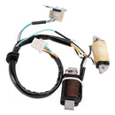 STATOR GENERATOR ASSY FOR YAMAHA T80D T80ED TOWNMATE 80 1987 1992 1993