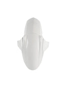 2020-2025 Street Triple 765 R RS Front Fender Mudguard Fairing