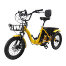 Electric Tricycle with IPX7 Display 18" 7 Speed 48V 13AH 350W (peak 525W)