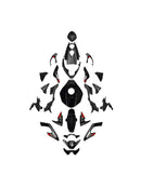 Injection Bodywork Fairing Kit for Street Triple 765 R/RS 2023-2025