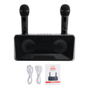 Wireless Bluetooth Dual Microphone Karaoke All-In-One Speaker for Home Outdoor