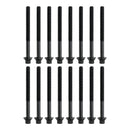 2014-2019 KIA Cadenza 3.3L G6DH 3.3L Engine Rebuild Overhaul Kit w/ Crankshaft Rods Timing