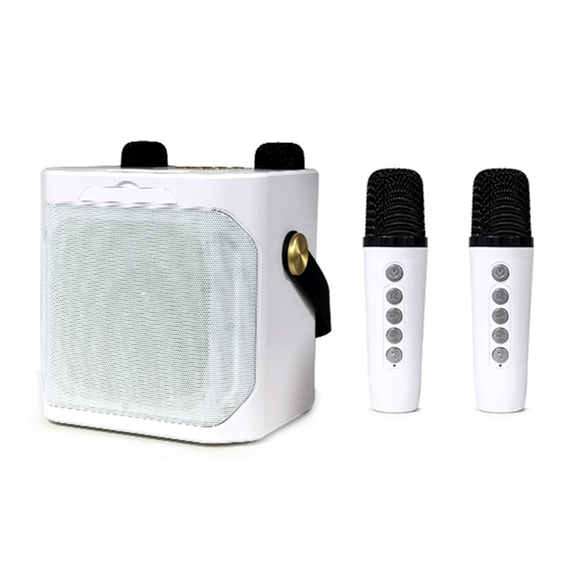 Wireless Bluetooth Speaker Dual Microphone Karaoke Home Theater All-in-One Audio