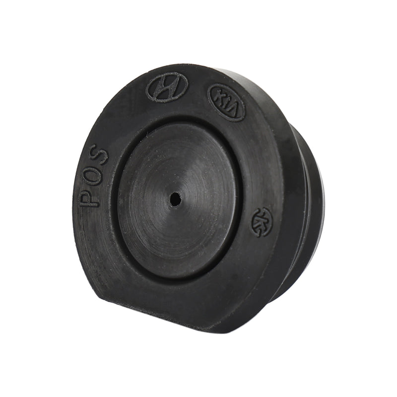 24352-2GGB0 24352-2GGA0 New Camshaft Plug Fits for Kia for Hyundai Black