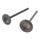 Head Intake Exhaust Valves Seals For CG 250cc Pit Bike Dirt Bike ATV Quad Bashan