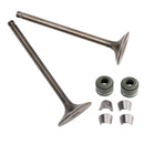 VALVE SET INLET & EXHAUST FOR CG200 GS200 DIRT BIKE POCKET BIKE ATV QUAD