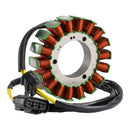 MAGNETO STATOR ASSEMBLY E02C31100001 FOR SEGWAY FUGLEMAN UT10 VILLAIN SX10 1000