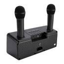 Wireless Bluetooth Dual Microphone Karaoke All-In-One Speaker for Home Outdoor