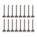 Hyundai Accent (HC) 2017-Cpresent G4FD 1.6L Engine Rebuild Overhaul Kit w/Crankshaft & Connecting Rod