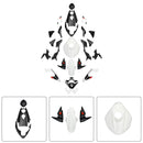 Injection Bodywork Fairing Kit for Street Triple 765 R/RS 2023-2025