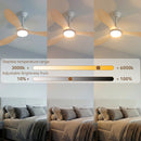 Remote Quiet 6 Speeds Black White Modern 52" Pendant Ceiling Fan with Light