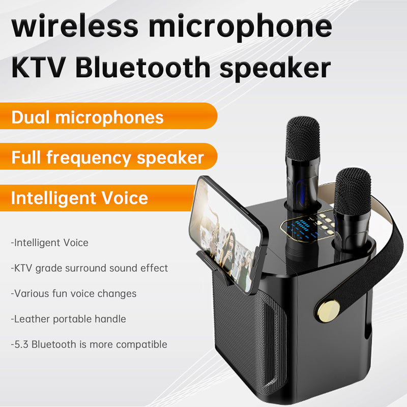 Wireless Bluetooth Speaker Dual Microphone Karaoke Home Theater All-in-One Audio
