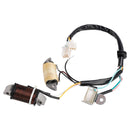 STATOR GENERATOR ASSY FOR YAMAHA T80D T80ED TOWNMATE 80 1987 1992 1993