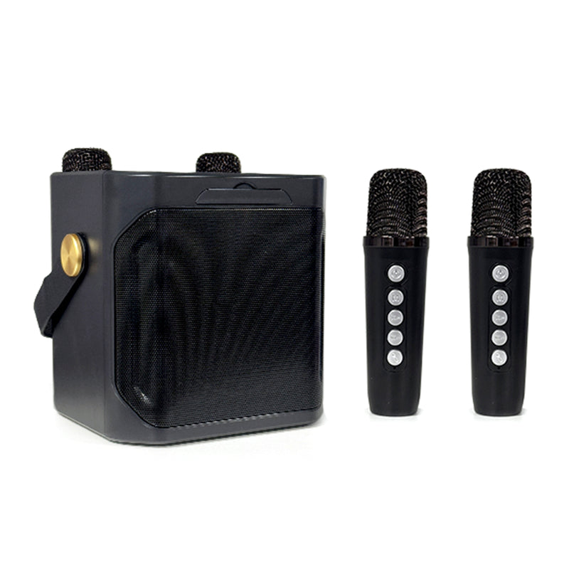 Wireless Bluetooth Speaker Dual Microphone Karaoke Home Theater All-in-One Audio