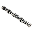 2009 Chrysler Aspen Limited 5.7L V8 MDS Lifters Kit Timing Chain Kit Camshaft Kit 53022263AF 5038785AB 5038786AB 53021727AC