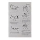 Dashboard Screen Protector Highly Transparent Fit For Maxsym Tl500 Generic