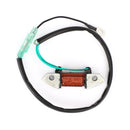 Areyourshop Magneto Assy Lighting Coil Fit for Yamaha 89-17 40hp 40X E40X 66T-85533-00