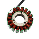 Stator Generator Fit for TM Racing EN 250 300 MX 250 300 2T 2019-2020 F15551 Generic