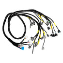 Honda Civic Integra B16 B18 D16 OBD2 Budget D & B-series Engine Harness