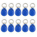 Readable RFID Tokens 125Khz EM4100 Tags ID Card Key Chain Card Access Card