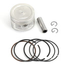 Areyourshop CYLINDER PISTON GASKET TOP END KIT Fit for Honda TRX250 E EX RECON TE TM 97-20 Generic